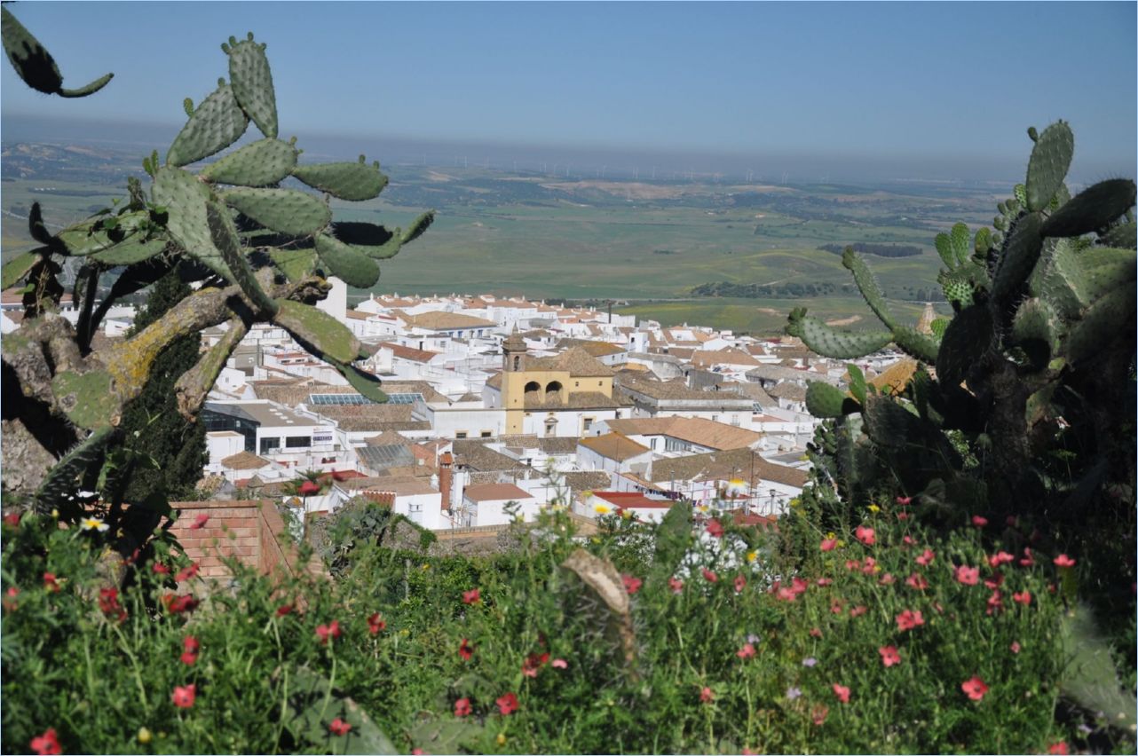 184-Medina Sidonia